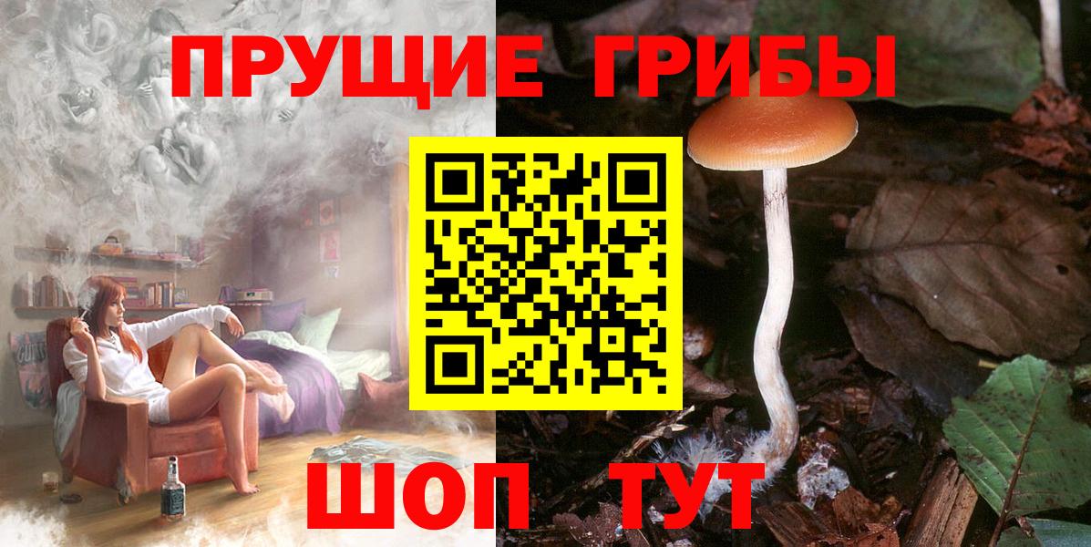 Псилоцибиновые грибы мицелий  Галлюциногенные грибы мицелий  Вход с VPN  Юрга 